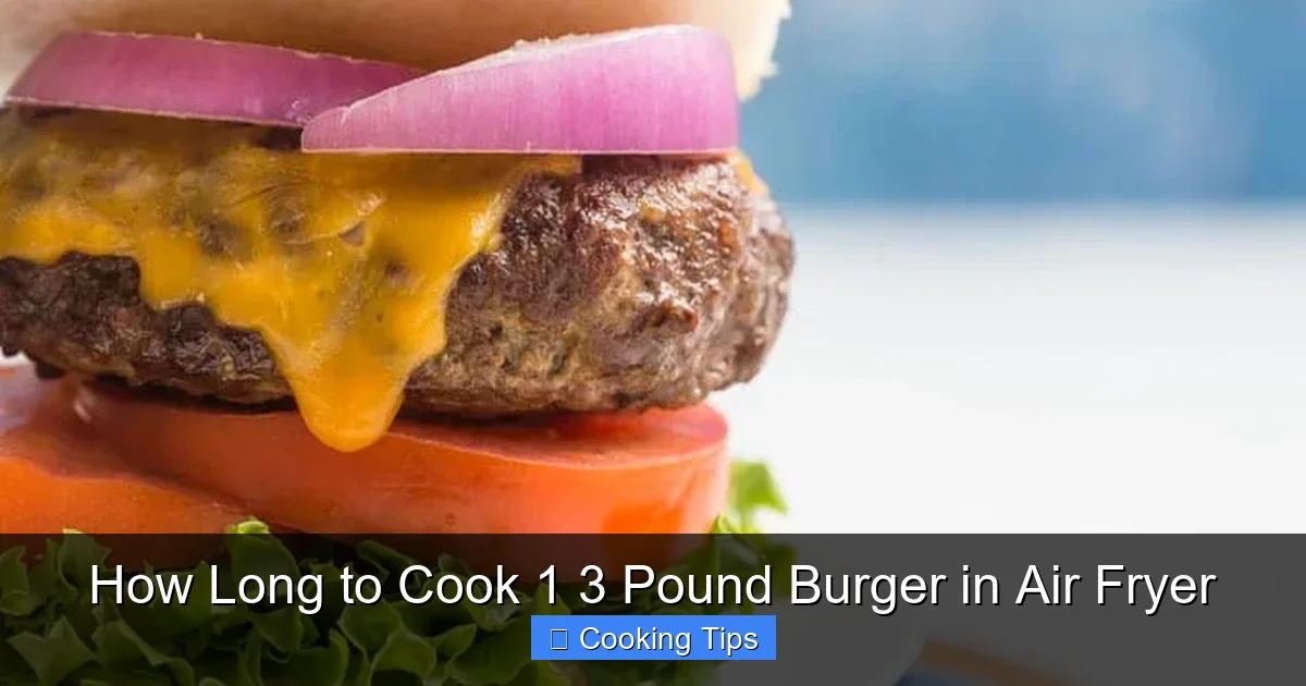 How Long to Cook 1 3 Pound Burger in Air Fryer