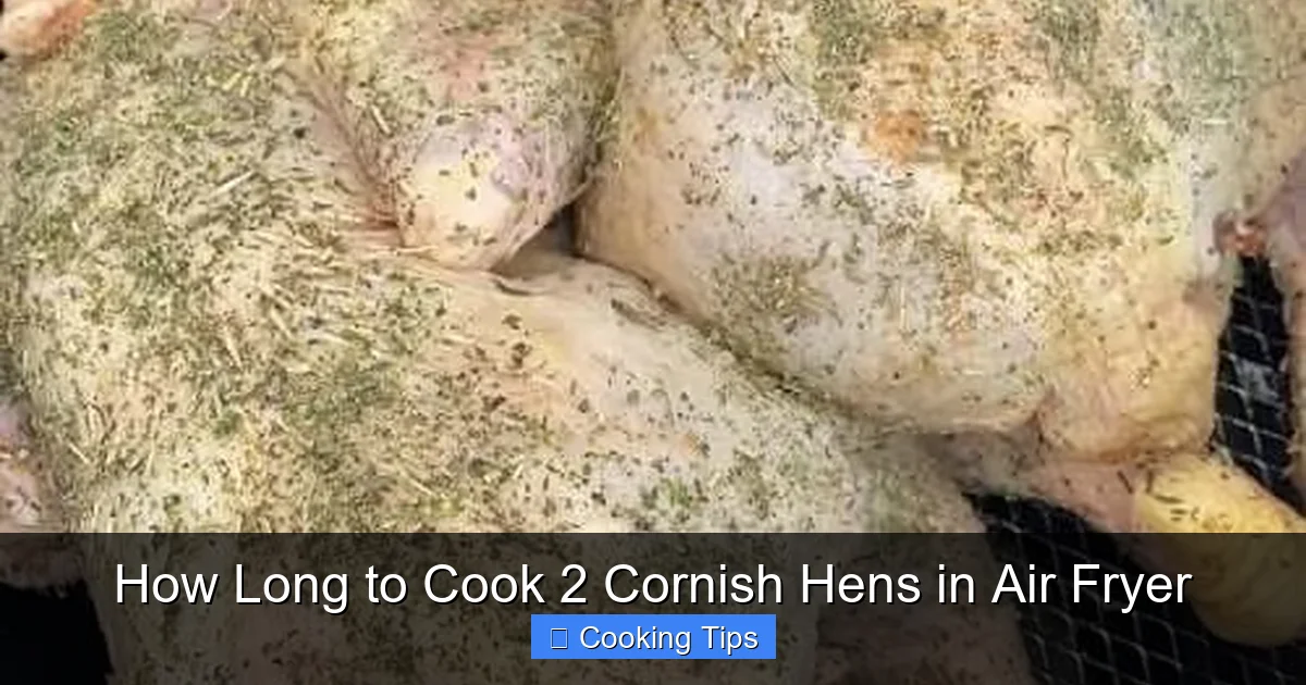 How Long to Cook 2 Cornish Hens in Air Fryer