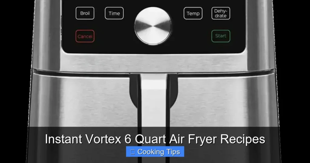 Instant Vortex 6 Quart Air Fryer Recipes