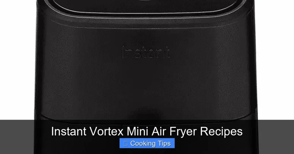 Instant Vortex Mini Air Fryer Recipes