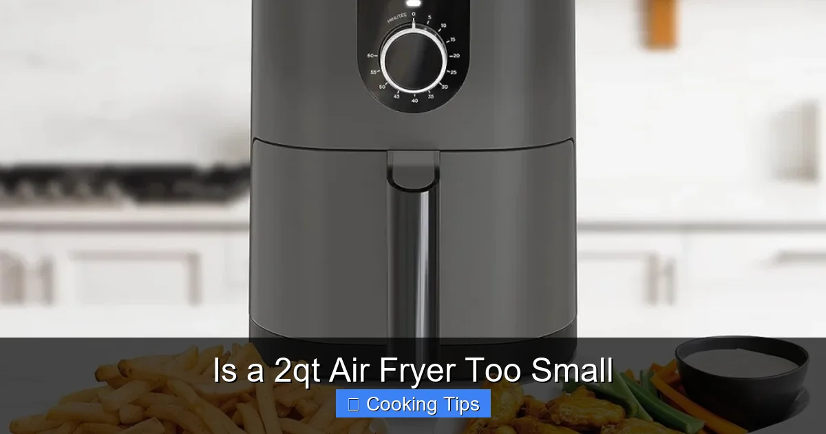 Is a 2qt Air Fryer Too Small