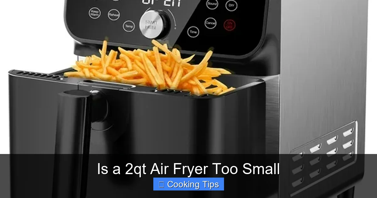 Is a 2qt Air Fryer Too Small