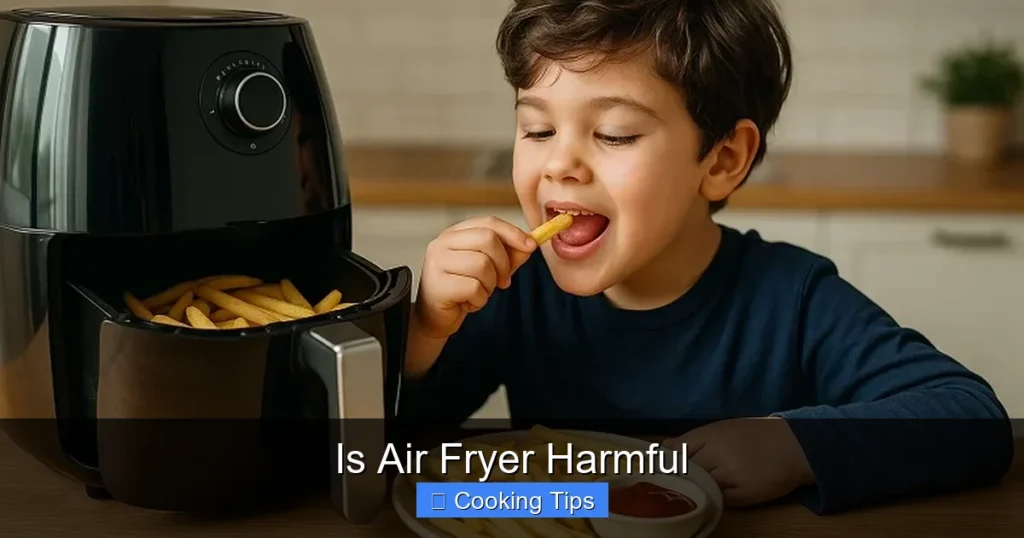 Is Air Fryer Harmful
