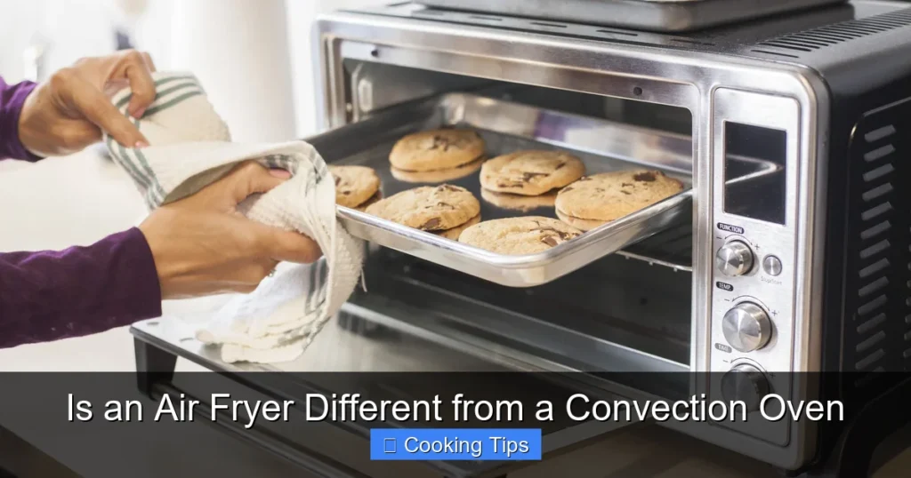 Is an Air Fryer Different from a Convection Oven