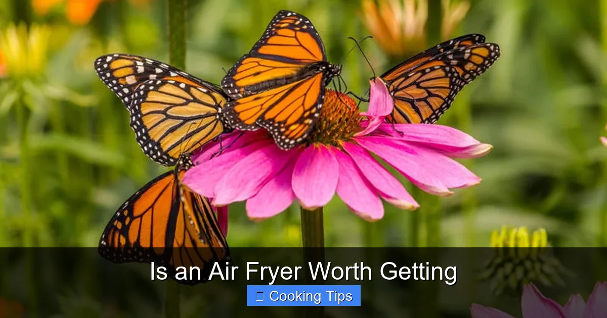 Is an Air Fryer Worth Getting