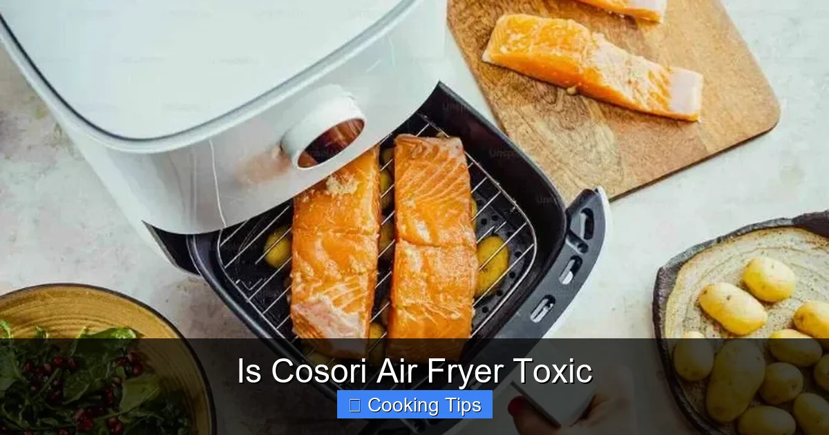 Is Cosori Air Fryer Toxic