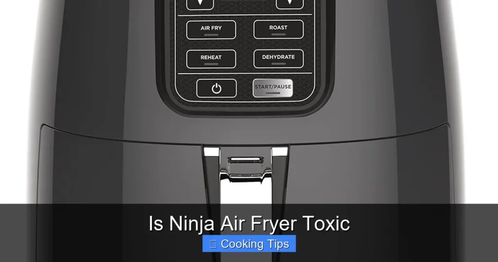 Is Ninja Air Fryer Toxic