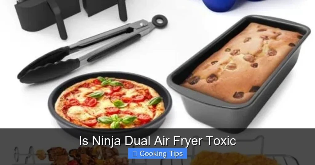 Is Ninja Dual Air Fryer Toxic