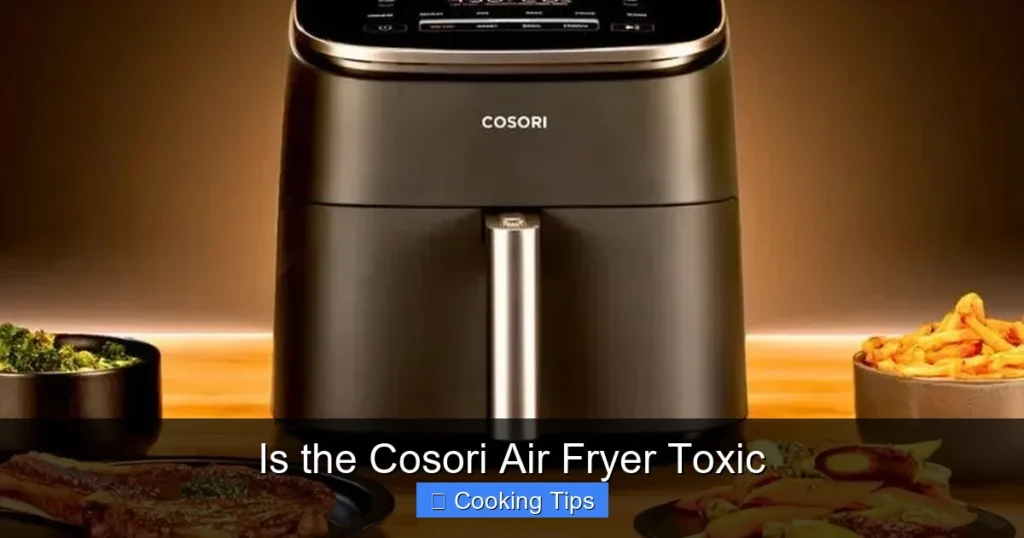 Is the Cosori Air Fryer Toxic