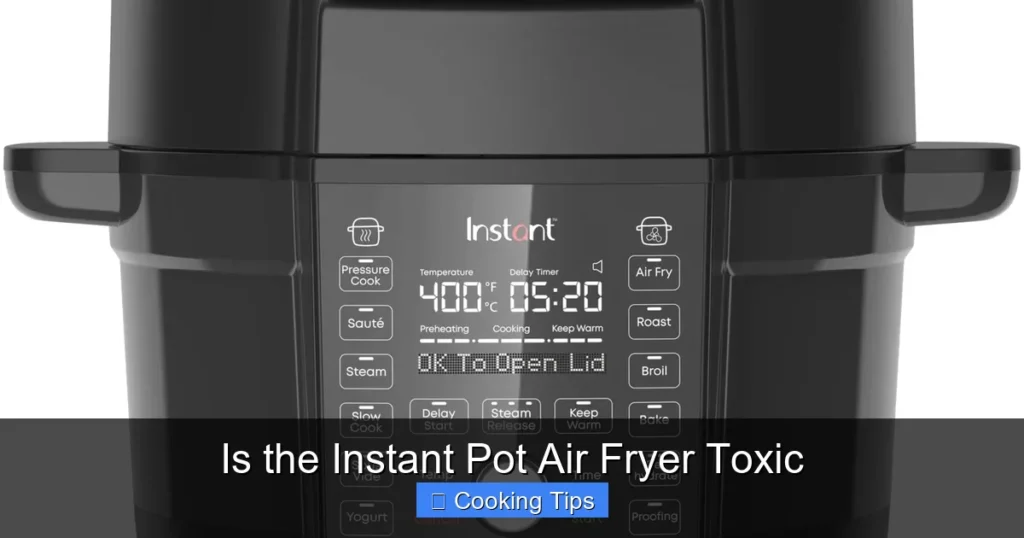 Is the Instant Pot Air Fryer Toxic