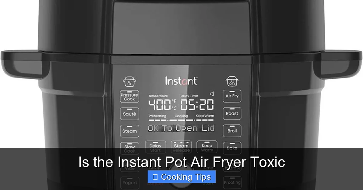 Is the Instant Pot Air Fryer Toxic