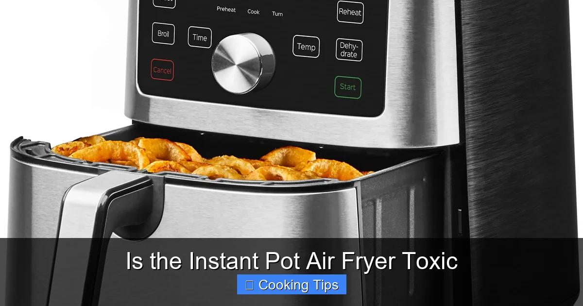 Is the Instant Pot Air Fryer Toxic