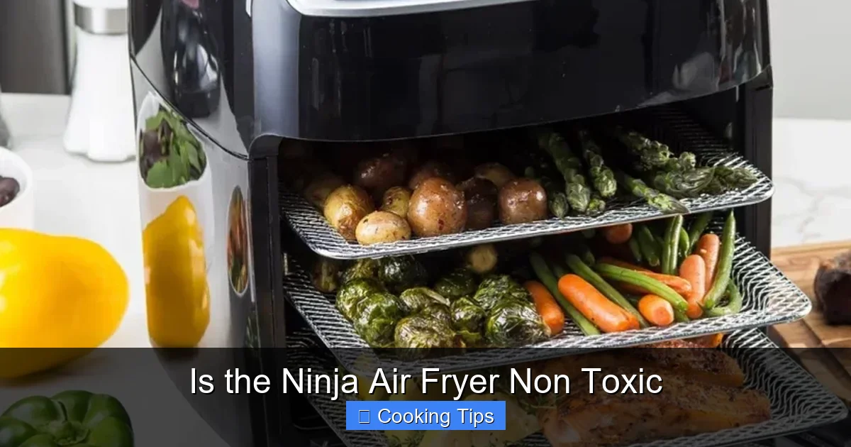 Is the Ninja Air Fryer Non Toxic
