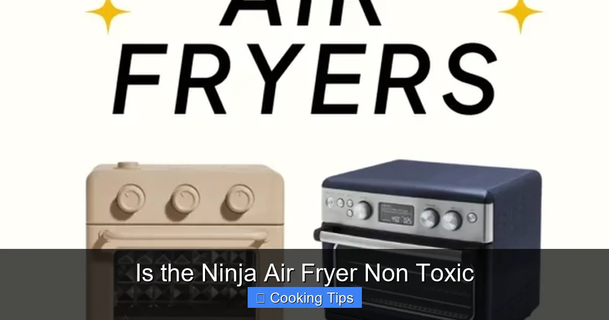 Is the Ninja Air Fryer Non Toxic
