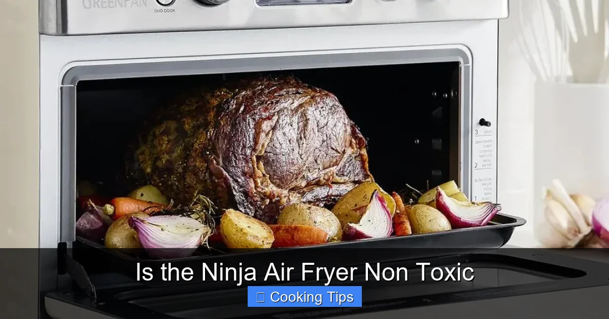 Is the Ninja Air Fryer Non Toxic