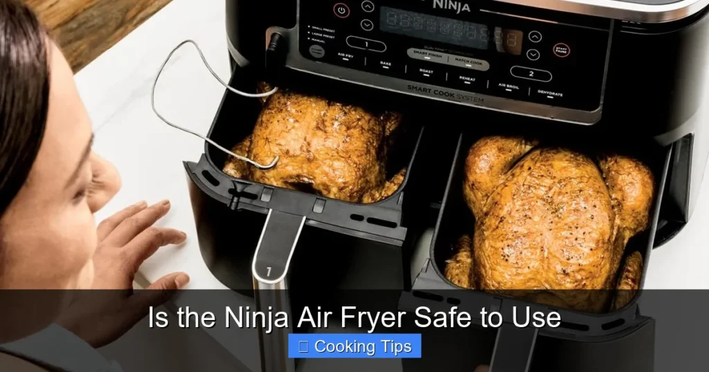 Is the Ninja Air Fryer Safe to Use
