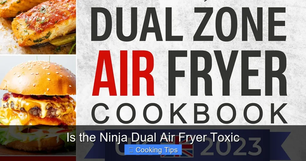 Is the Ninja Dual Air Fryer Toxic
