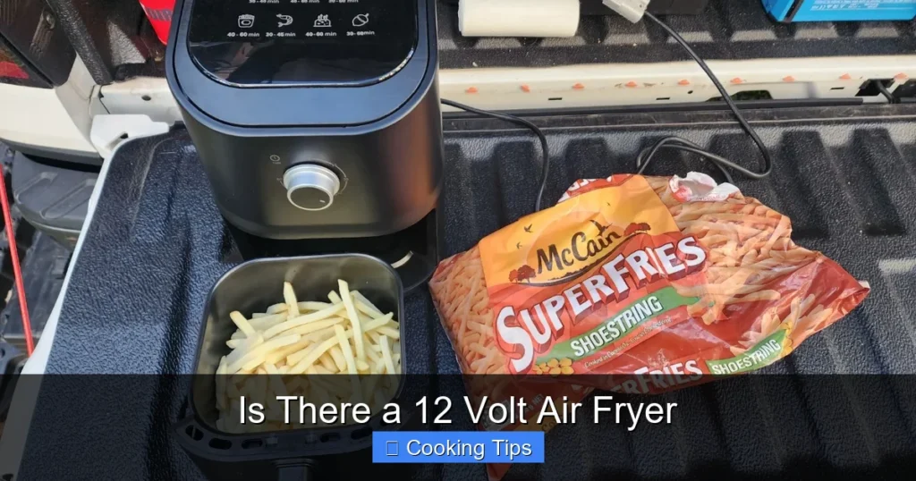 Is There a 12 Volt Air Fryer