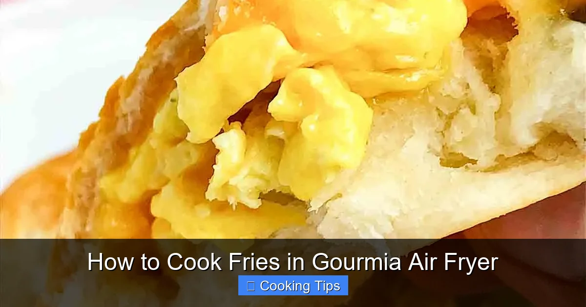 How to Cook Fries in Gourmia Air Fryer
