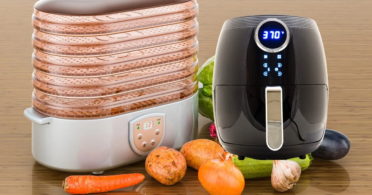 air fryer vs dehydrator jerky
