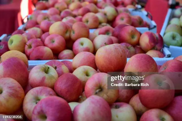 apple varieties for air fryer