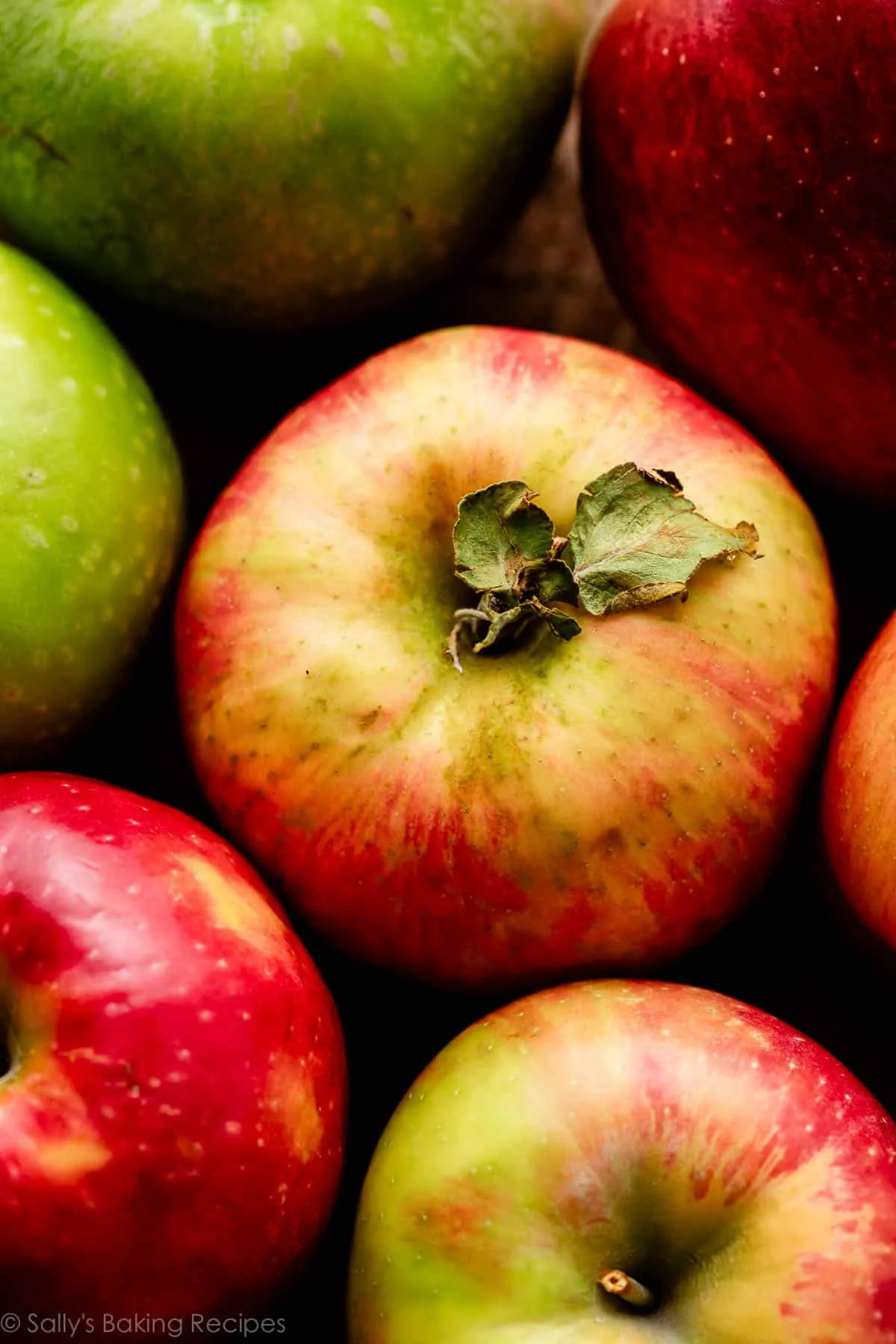apple varieties for baking