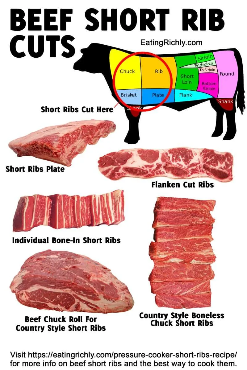 beef short rib cuts
