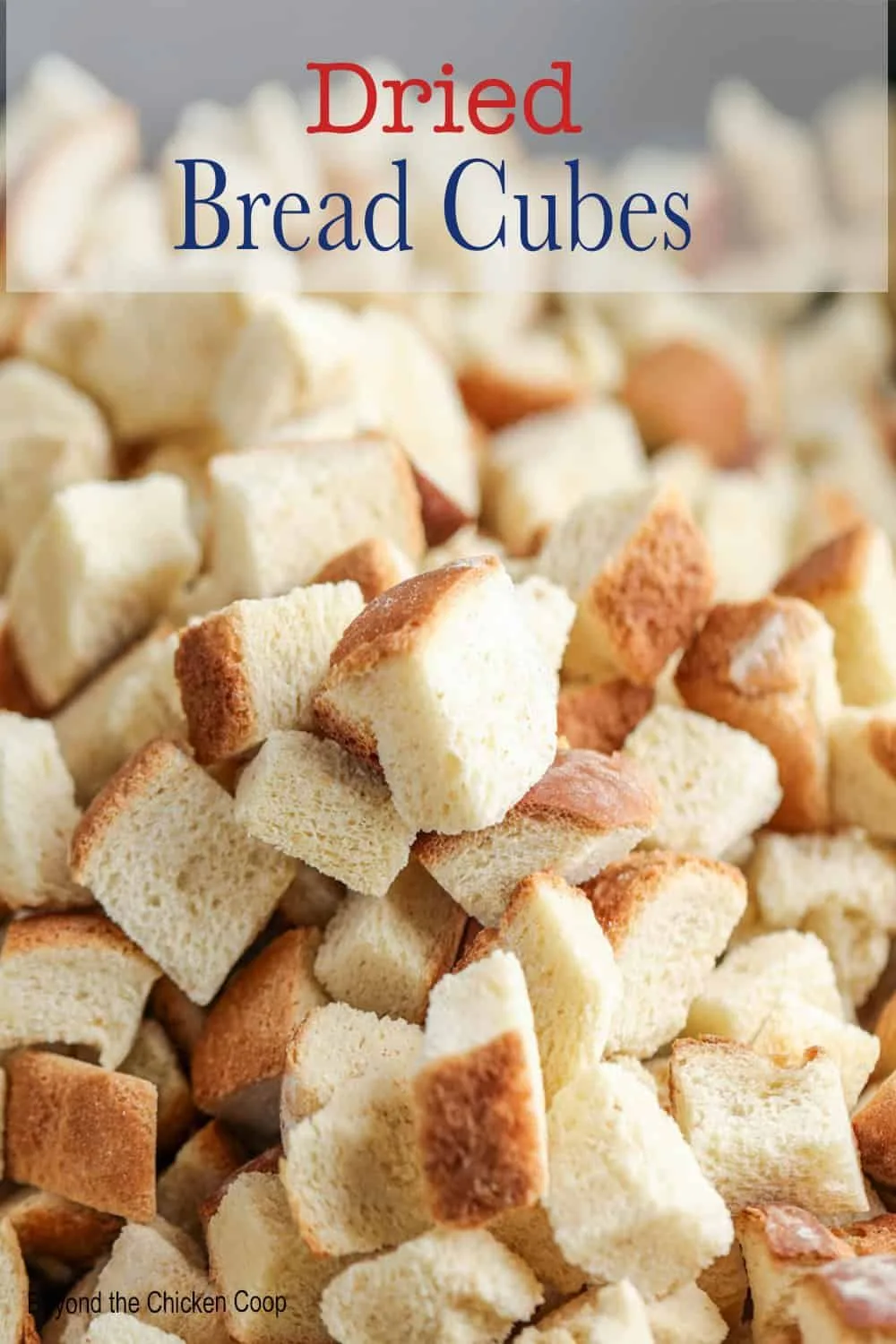 bread cubes