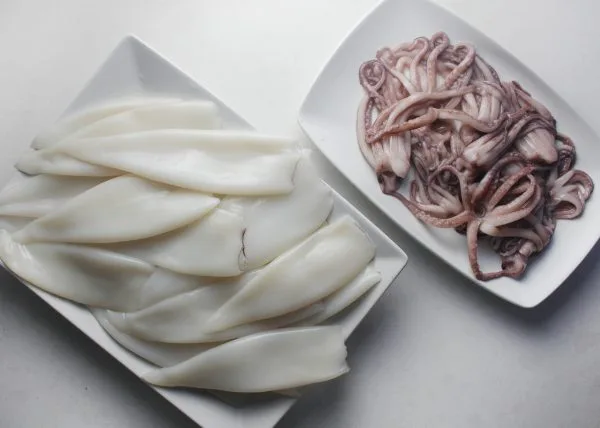 calamari (squid)