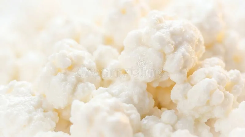 cheese curds fresh squeaky
