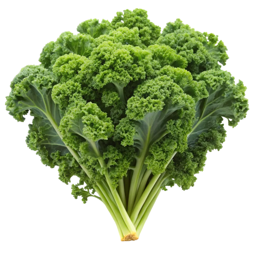 curly kale bunch