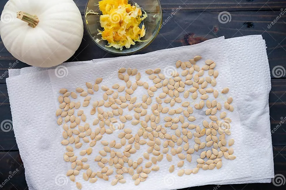 drying pumpkin seeds