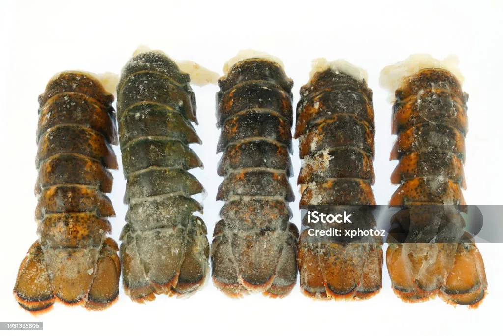 frozen lobster tails