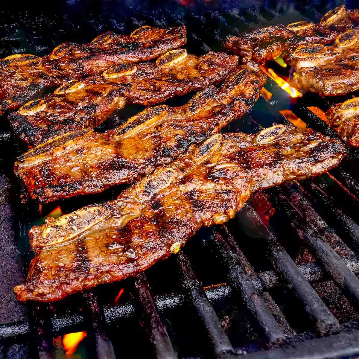 Grilled short ribs vs braised short ribs