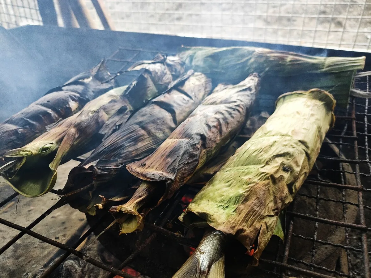 grouper fillets
