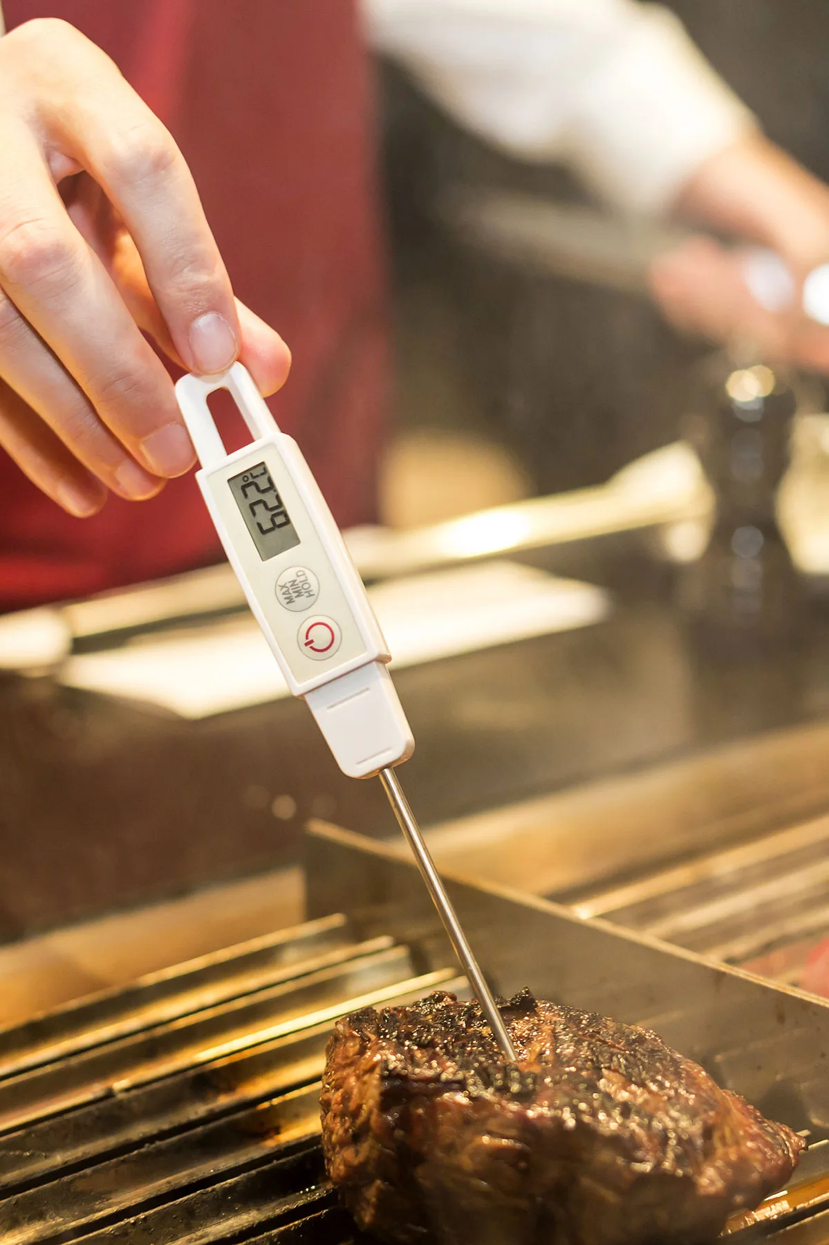 instant read thermometer steak