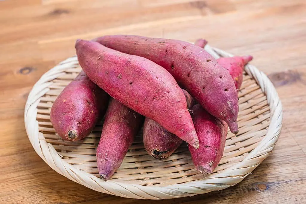 Japanese sweet potato varieties