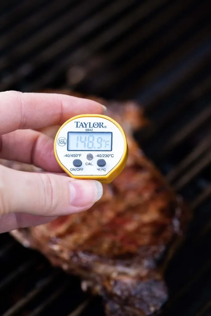 meat thermometer in steak