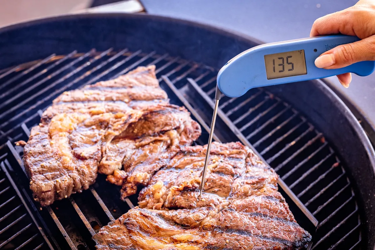 meat thermometer in tri tip