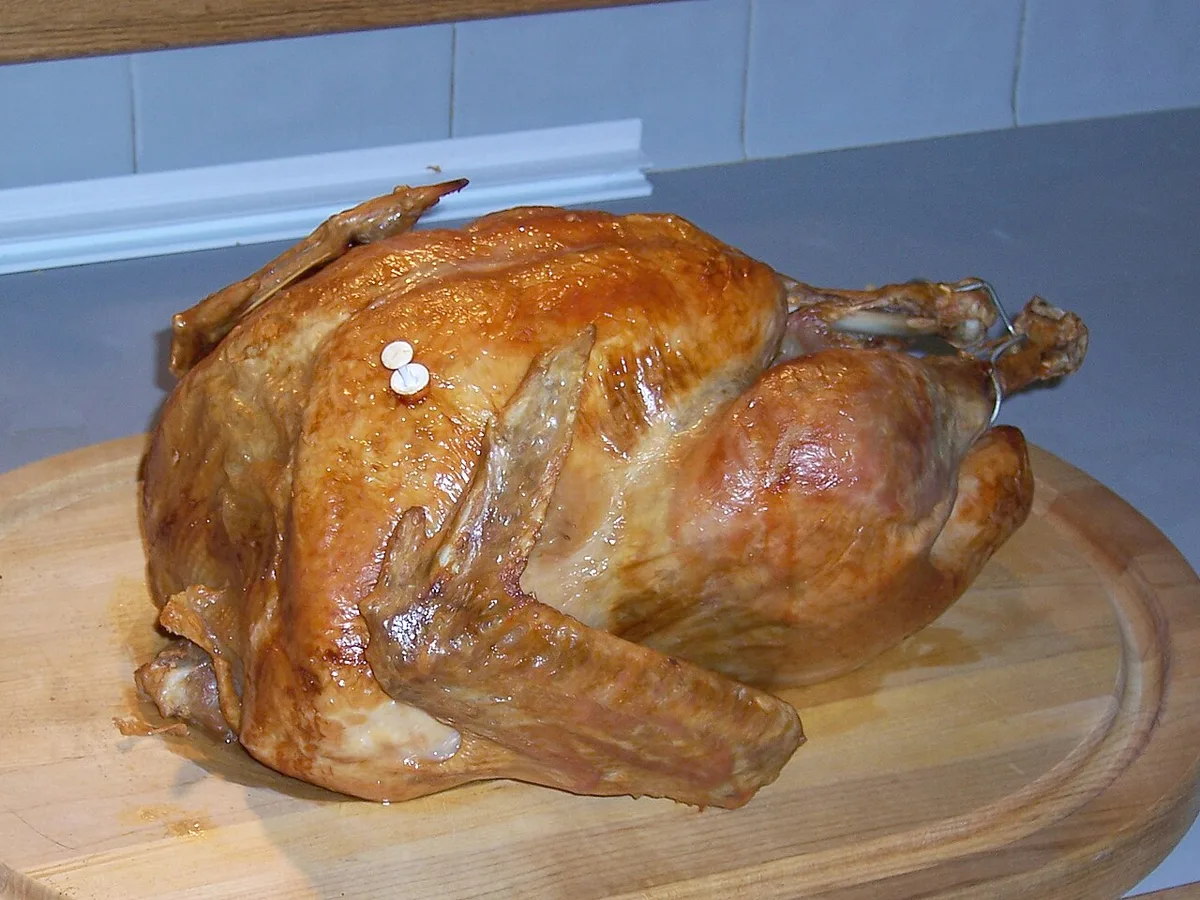 meat thermometer turkey tenderloin