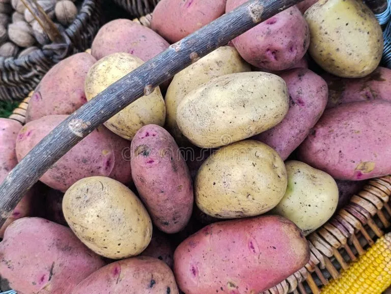 Mini Potatoes