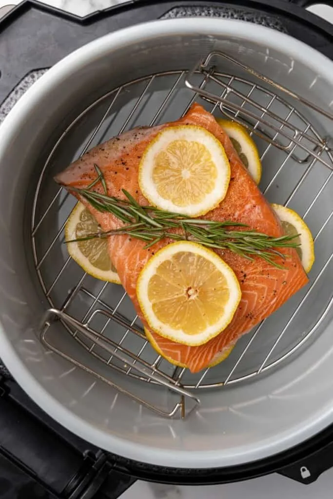 Ninja Foodi salmon fillet