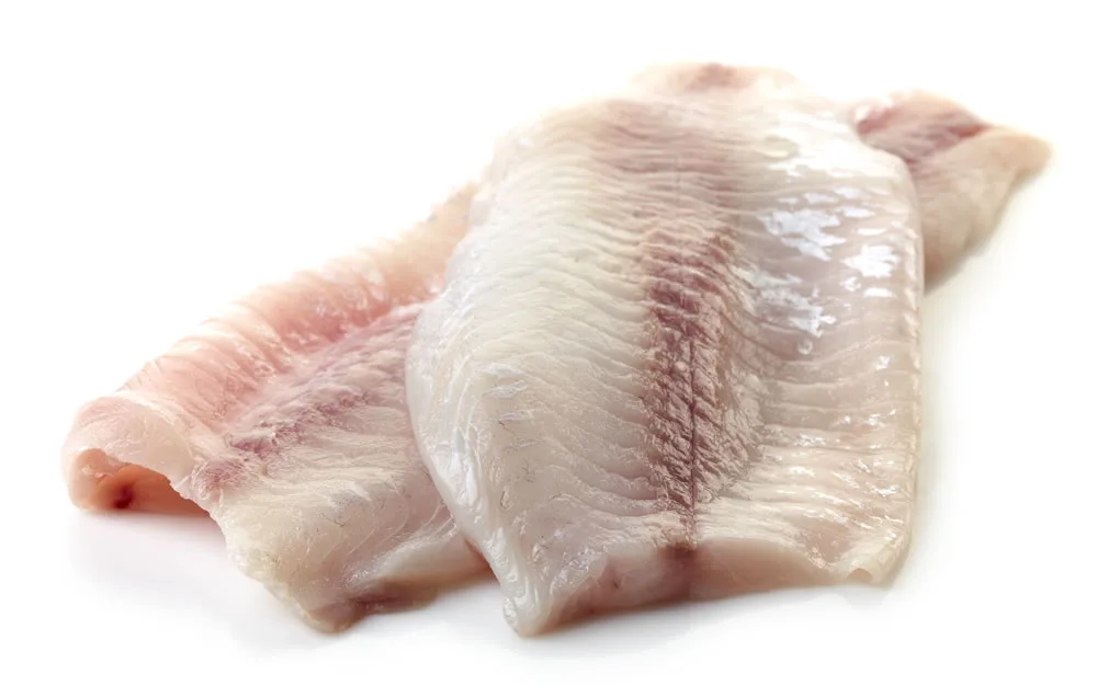 perch fillets