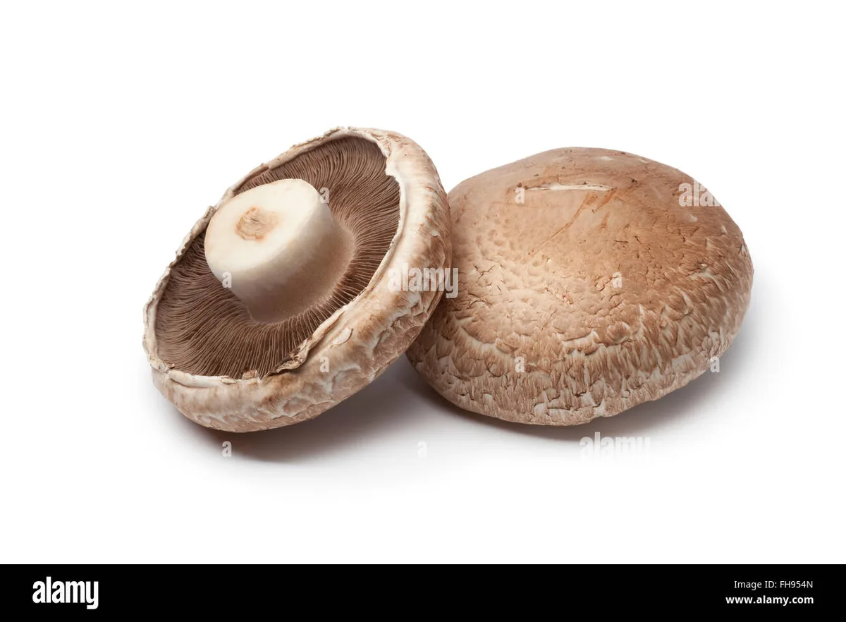 portobello mushrooms