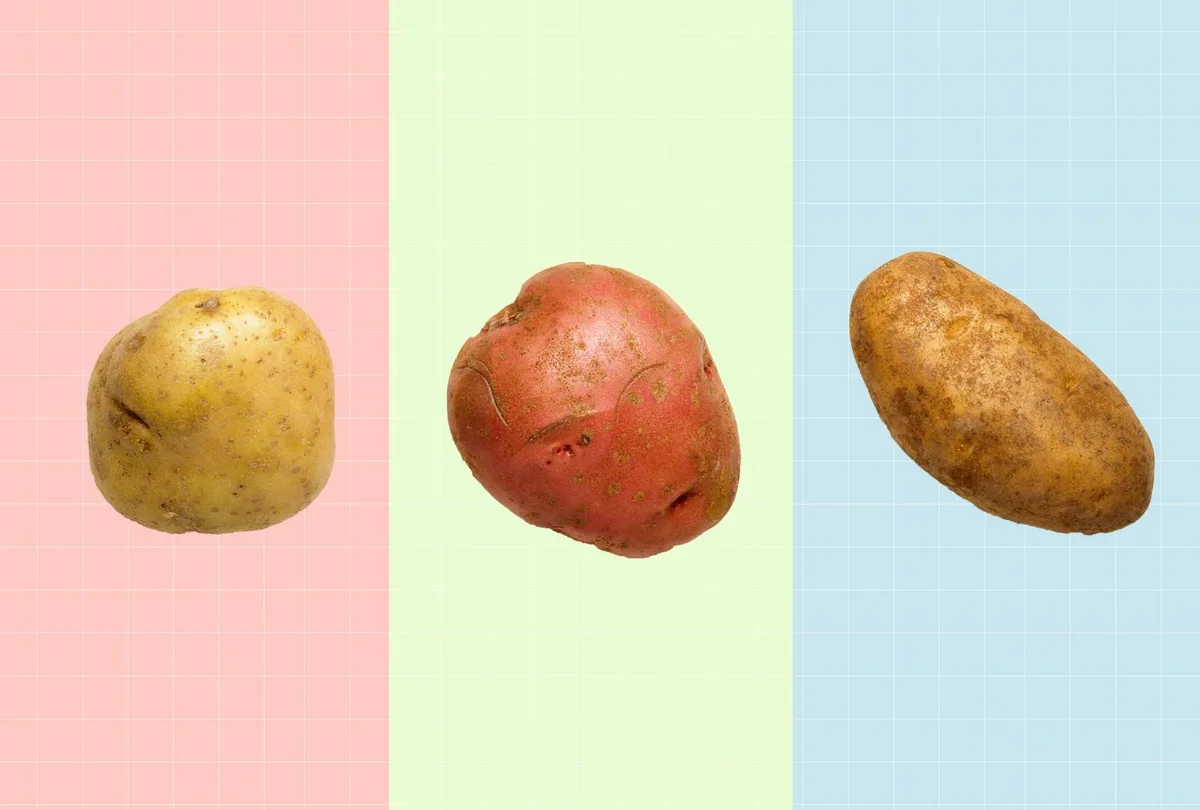 potato varieties air fryer comparison