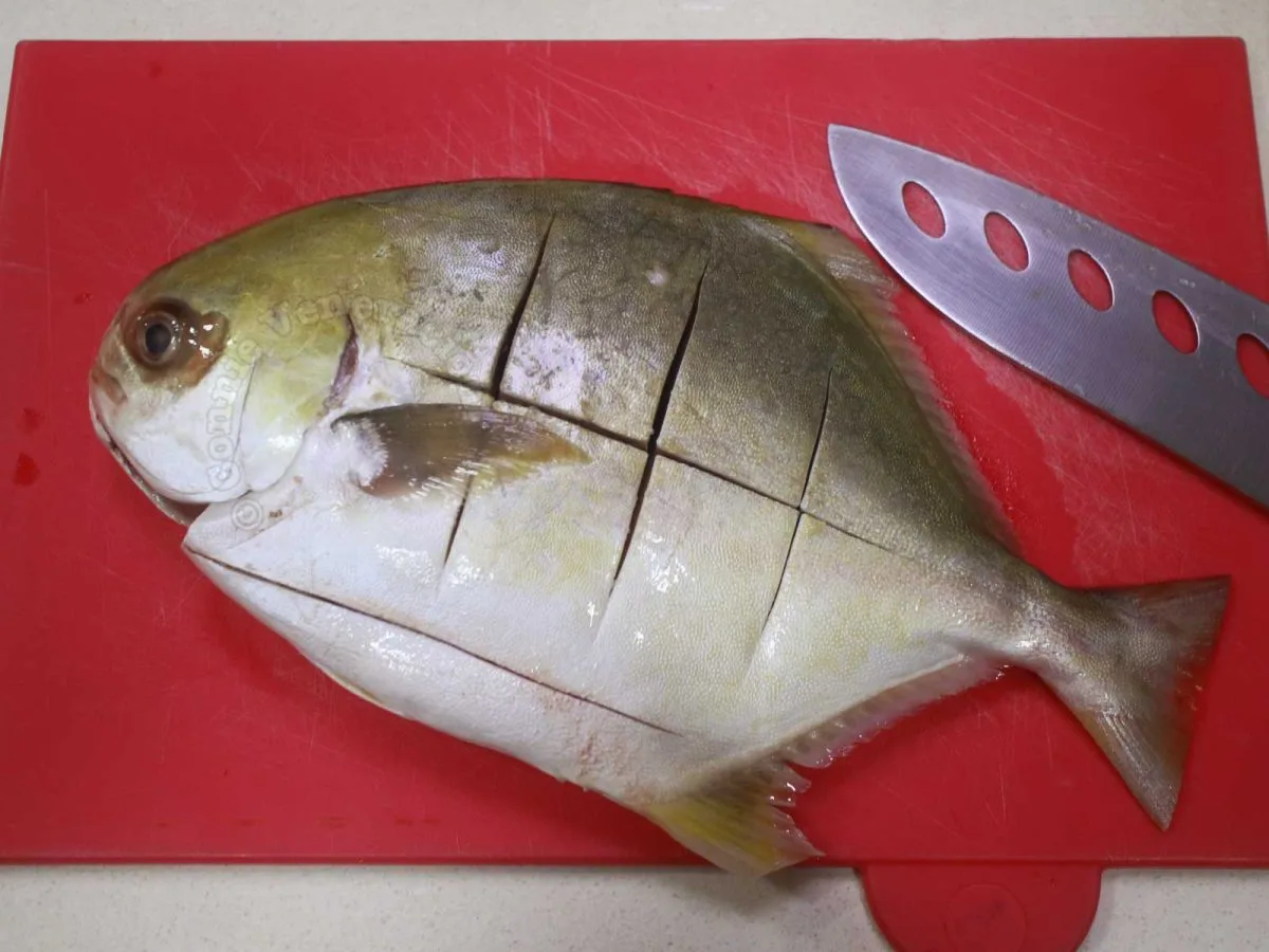 preparing fish scoring