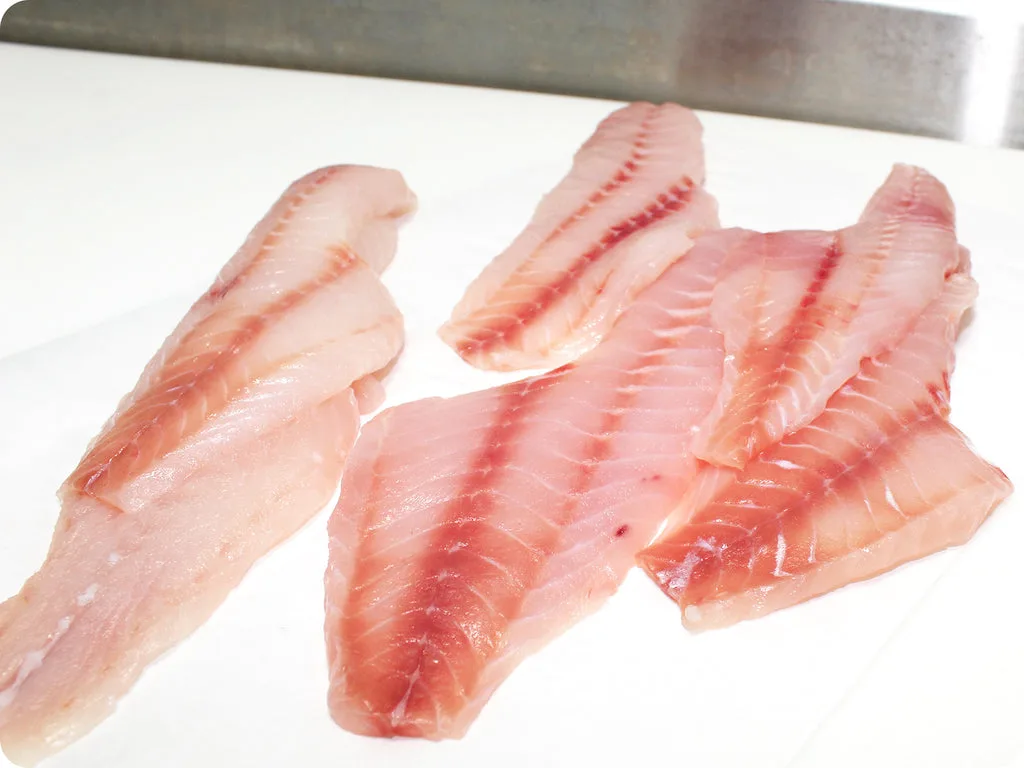 Rockfish