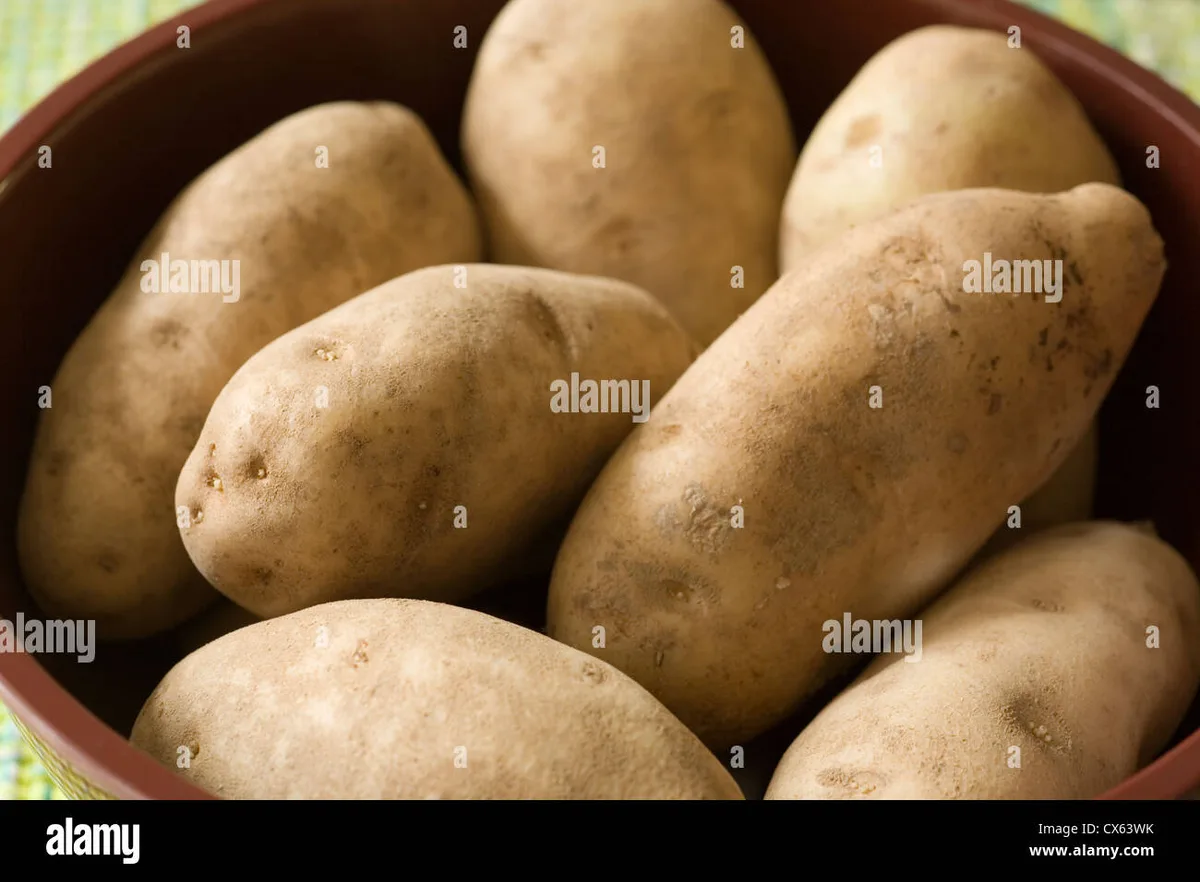 russet potatoes for baking
