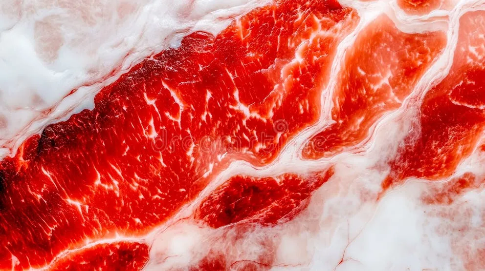 Saturated fat in red meat