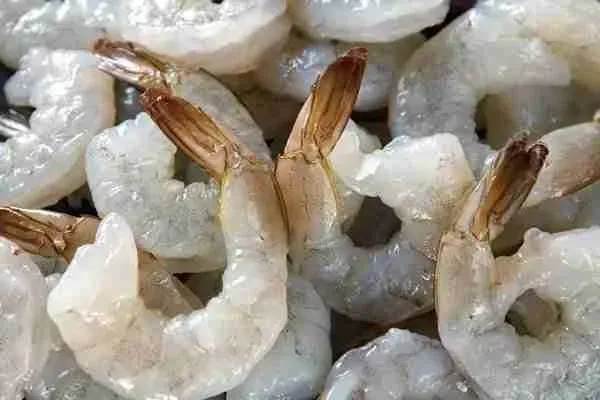 shrimp